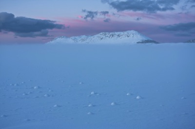 Lofoten, februari